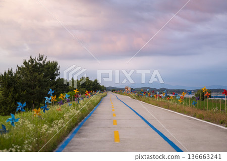 Bicycle path along the Geumgang River Bicycle path along the Geumgang River 136663241