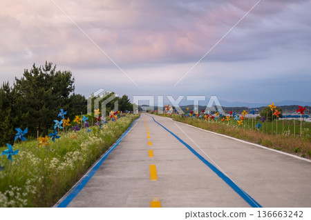 Bicycle path along the Geumgang River Bicycle path along the Geumgang River 136663242