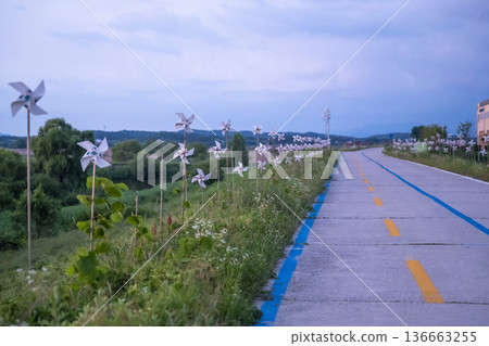 Bicycle path along the Geumgang River Bicycle path along the Geumgang River 136663255