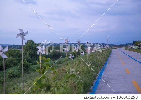 Bicycle path along the Geumgang River Bicycle path along the Geumgang River 136663258