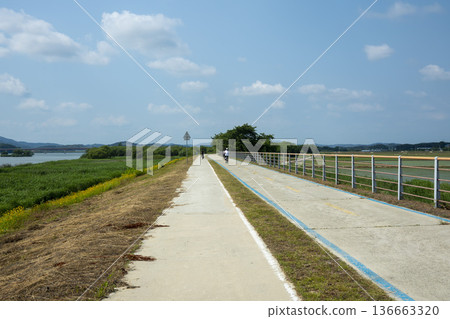 Bicycle path along the Geumgang River 136663320