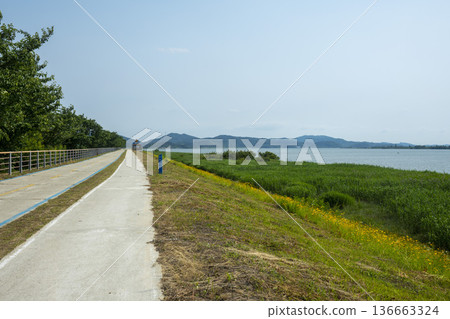 Bicycle path along the Geumgang River Bicycle path along the Geumgang River 136663324