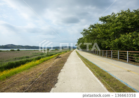 Bicycle path along the Geumgang River Bicycle path along the Geumgang River 136663358