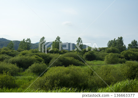 Bicycle path along the Geumgang River Bicycle path along the Geumgang River 136663377