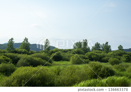 Bicycle path along the Geumgang River Bicycle path along the Geumgang River 136663378