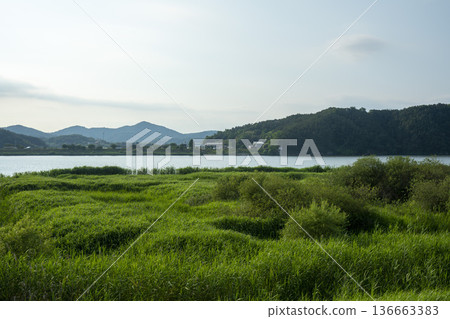 Bicycle path along the Geumgang River 136663383