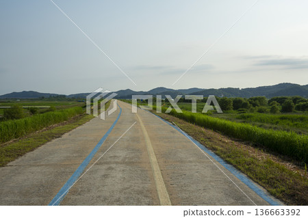 Bicycle path along the Geumgang River Bicycle path along the Geumgang River 136663392