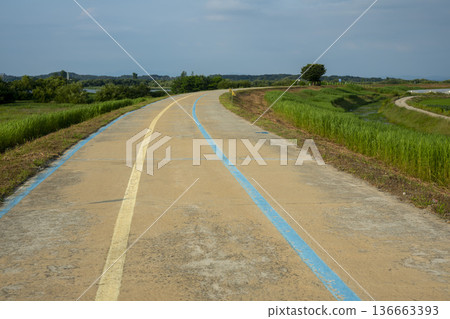 Bicycle path along the Geumgang River Bicycle path along the Geumgang River 136663393