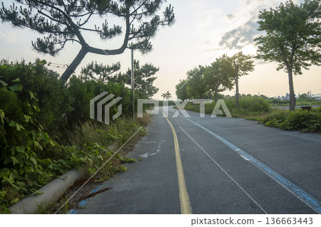 Bicycle path along the Geumgang River Bicycle path along the Geumgang River 136663443