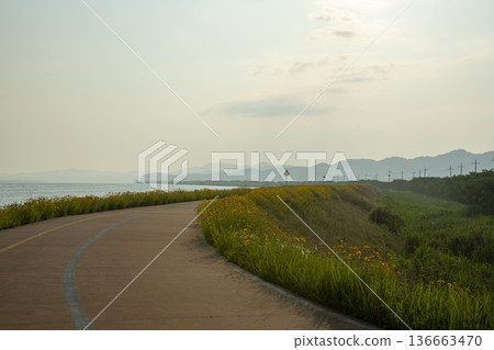Bicycle path along the Geumgang River 136663470