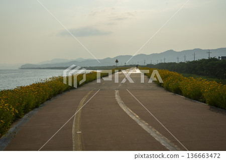 Bicycle path along the Geumgang River Bicycle path along the Geumgang River 136663472
