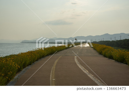 Bicycle path along the Geumgang River Bicycle path along the Geumgang River 136663473