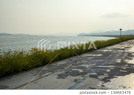 Bicycle path along the Geumgang River Bicycle path along the Geumgang River 136663476