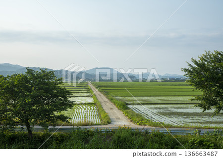 Bicycle path along the Geumgang River 136663487