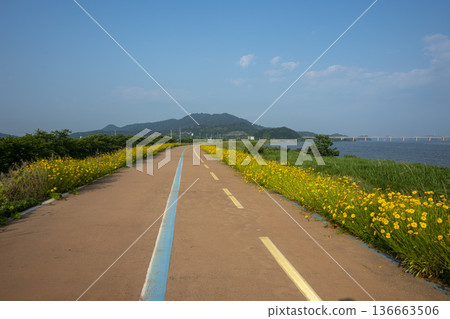 Bicycle path along the Geumgang River Bicycle path along the Geumgang River 136663506