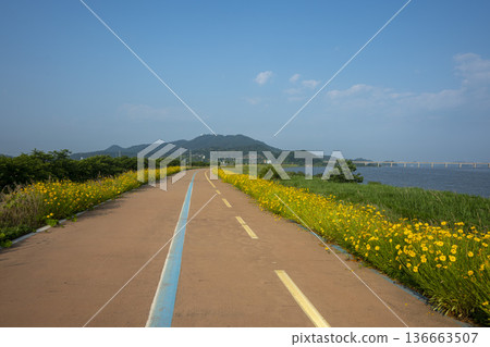 Bicycle path along the Geumgang River Bicycle path along the Geumgang River 136663507