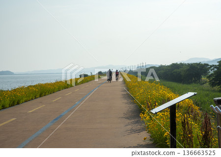 Bicycle path along the Geumgang River 136663525