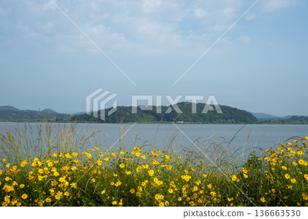 Bicycle path along the Geumgang River Bicycle path along the Geumgang River 136663530