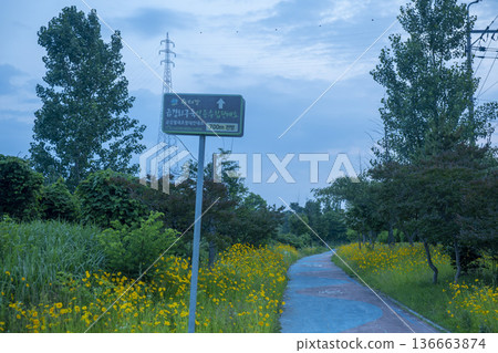 Bicycle path along the Geumgang River Bicycle path along the Geumgang River 136663874