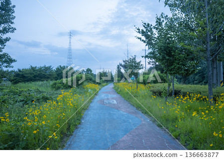 Bicycle path along the Geumgang River Bicycle path along the Geumgang River 136663877