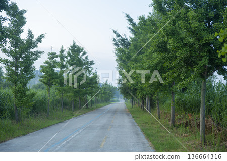 Bicycle path along the Geumgang River Bicycle path along the Geumgang River 136664316