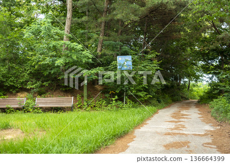Bicycle path along the Geumgang River Bicycle path along the Geumgang River 136664399