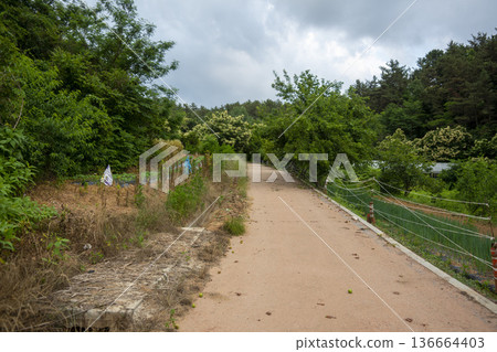 Bicycle path along the Geumgang River 136664403