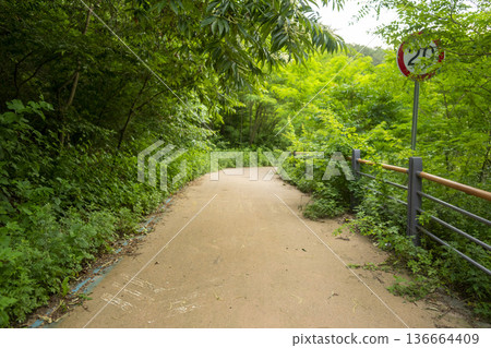 Bicycle path along the Geumgang River Bicycle path along the Geumgang River 136664409