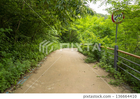 Bicycle path along the Geumgang River Bicycle path along the Geumgang River 136664410