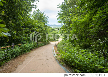 Bicycle path along the Geumgang River 136664411