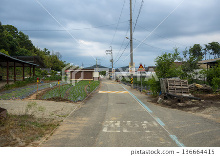 Bicycle path along the Geumgang River Bicycle path along the Geumgang River 136664415