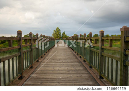 Bicycle path along the Geumgang River Bicycle path along the Geumgang River 136664559