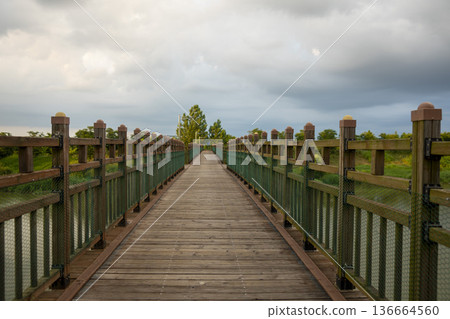 Bicycle path along the Geumgang River Bicycle path along the Geumgang River 136664560