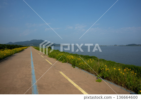 Bicycle path along the Geumgang River Bicycle path along the Geumgang River 136664600