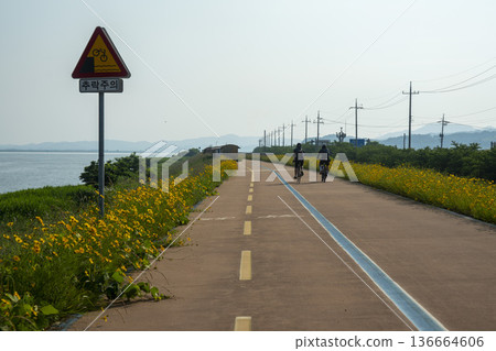 Bicycle path along the Geumgang River 136664606