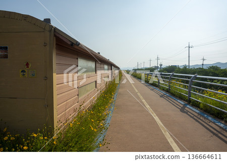Bicycle path along the Geumgang River Bicycle path along the Geumgang River 136664611