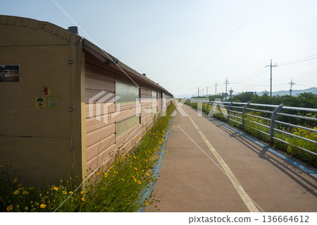 Bicycle path along the Geumgang River Bicycle path along the Geumgang River 136664612