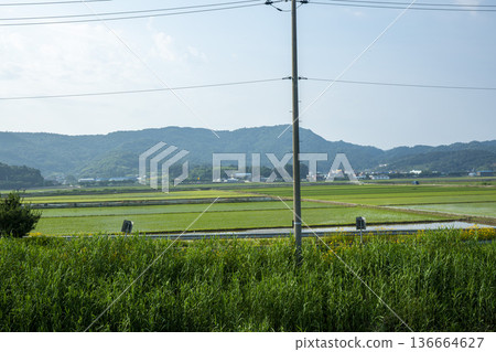 Bicycle path along the Geumgang River Bicycle path along the Geumgang River 136664627
