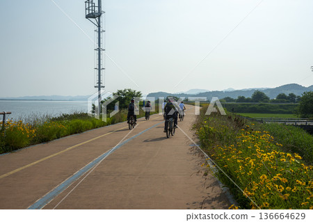 Bicycle path along the Geumgang River 136664629