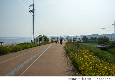 Bicycle path along the Geumgang River Bicycle path along the Geumgang River 136664630