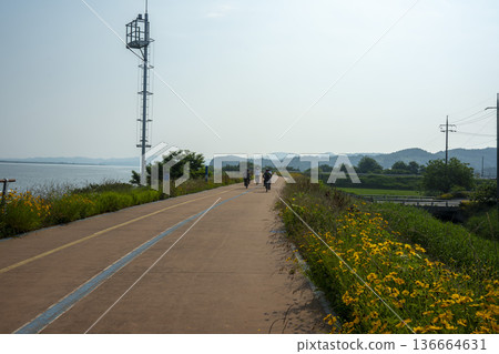 Bicycle path along the Geumgang River 136664631