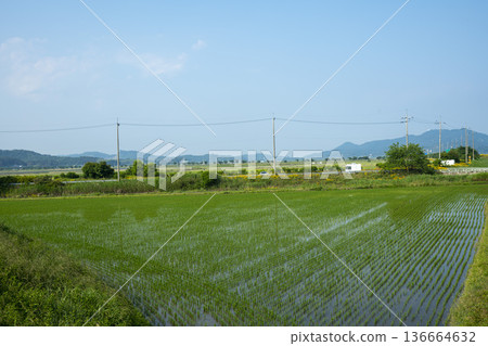 Bicycle path along the Geumgang River 136664632