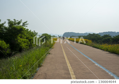 Bicycle path along the Geumgang River Bicycle path along the Geumgang River 136664644