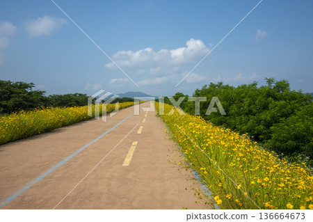 Bicycle path along the Geumgang River 136664673