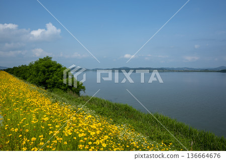 Bicycle path along the Geumgang River Bicycle path along the Geumgang River 136664676