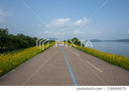 Bicycle path along the Geumgang River 136664679