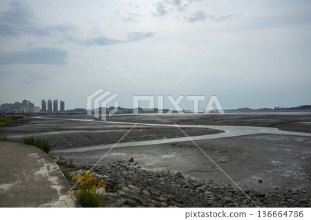 Bicycle path along the Geumgang River Bicycle path along the Geumgang River 136664786