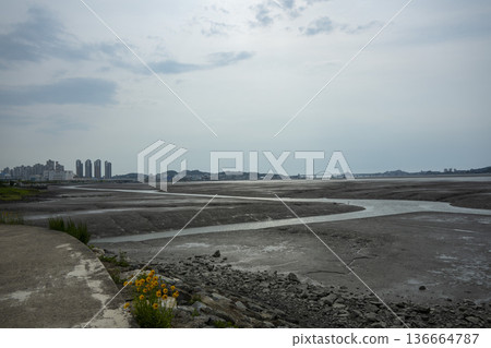 Bicycle path along the Geumgang River Bicycle path along the Geumgang River 136664787