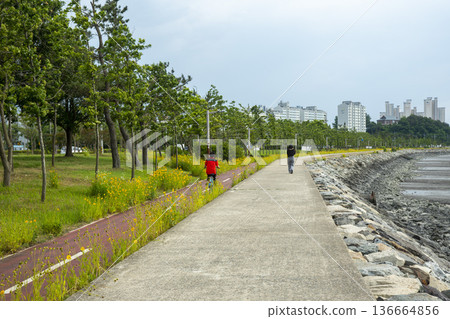 Bicycle path along the Geumgang River Bicycle path along the Geumgang River 136664856