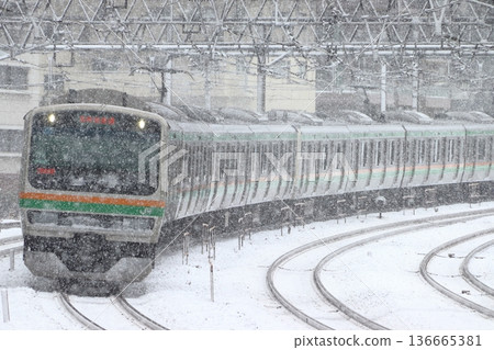 [JU] Ueno Tokyo Line Series E231 (Direct connection to Takasaki Line) 136665381